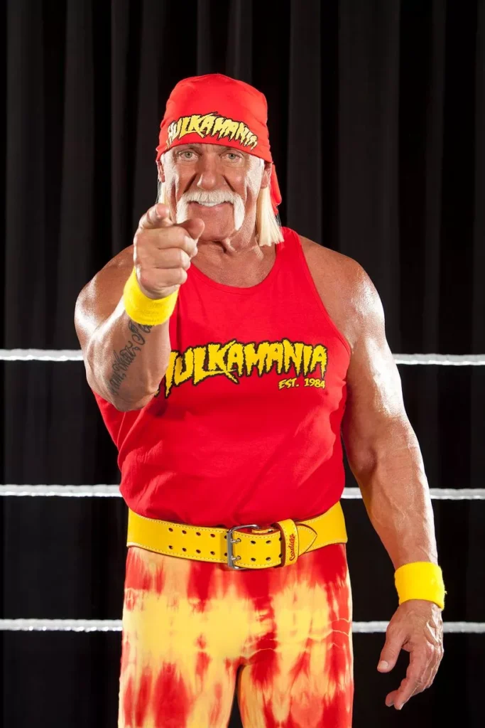 Hulk Hogan From the Ring to the Real World